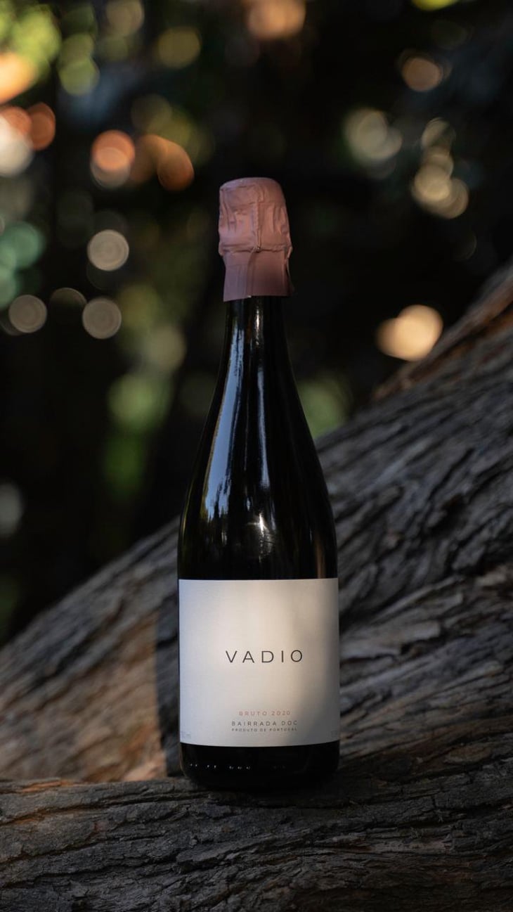 Vadio - Vinhos Vadio - Luís Patrão -2020
