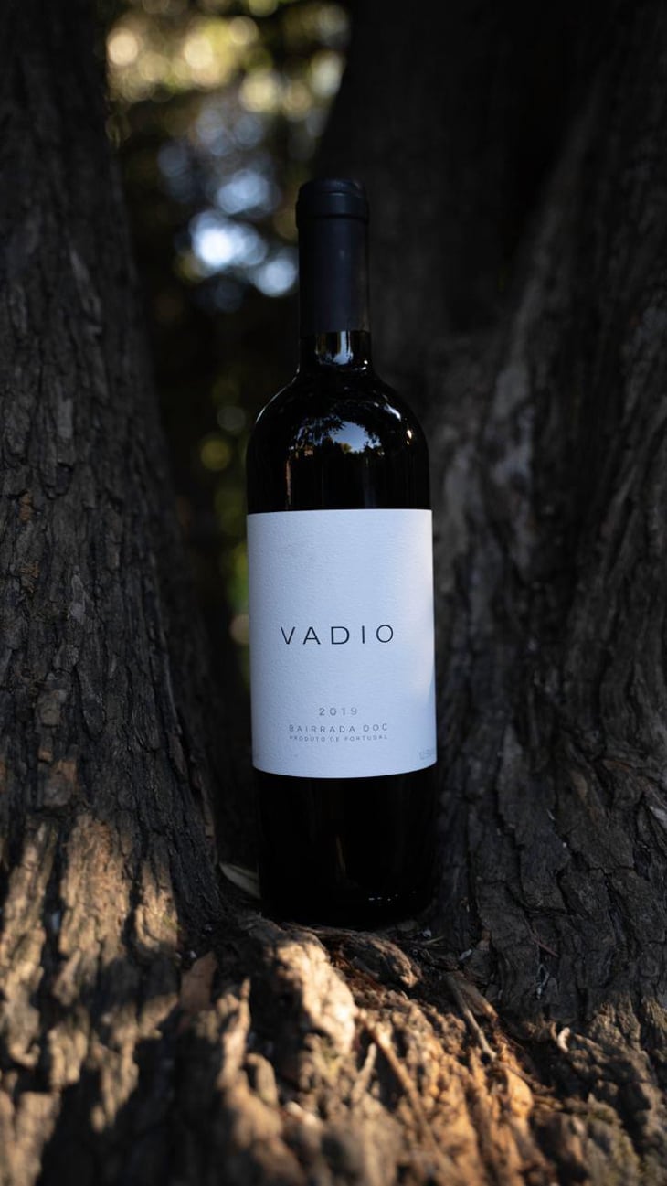 Bairrada DOC Red - Vinhos Vadio - Luís Patrão -2019