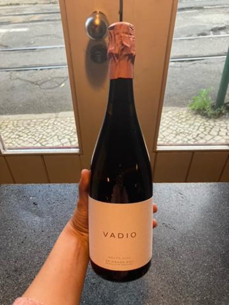 Vadio Bruto Rosé - Vinhos Vadio - Luís Patrão -2020