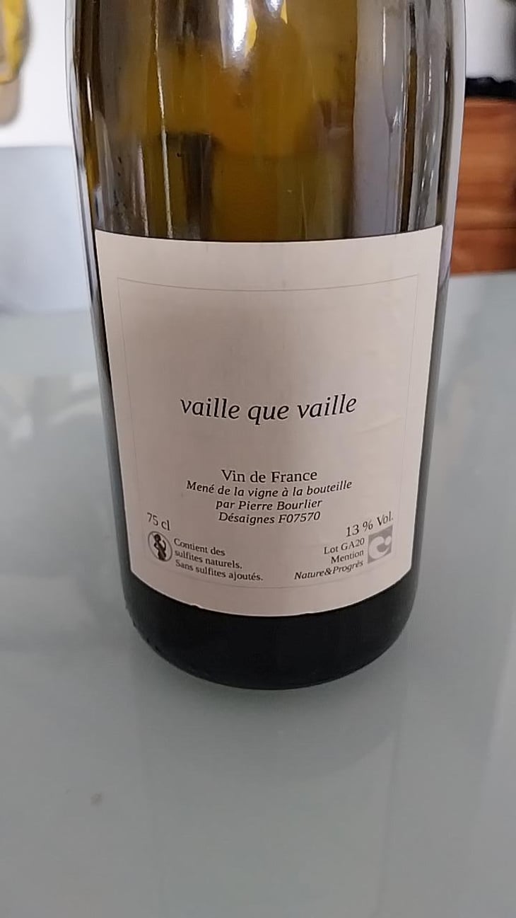 Vaille que vaille - Pierre Bourlier - Pierre Bourlier 