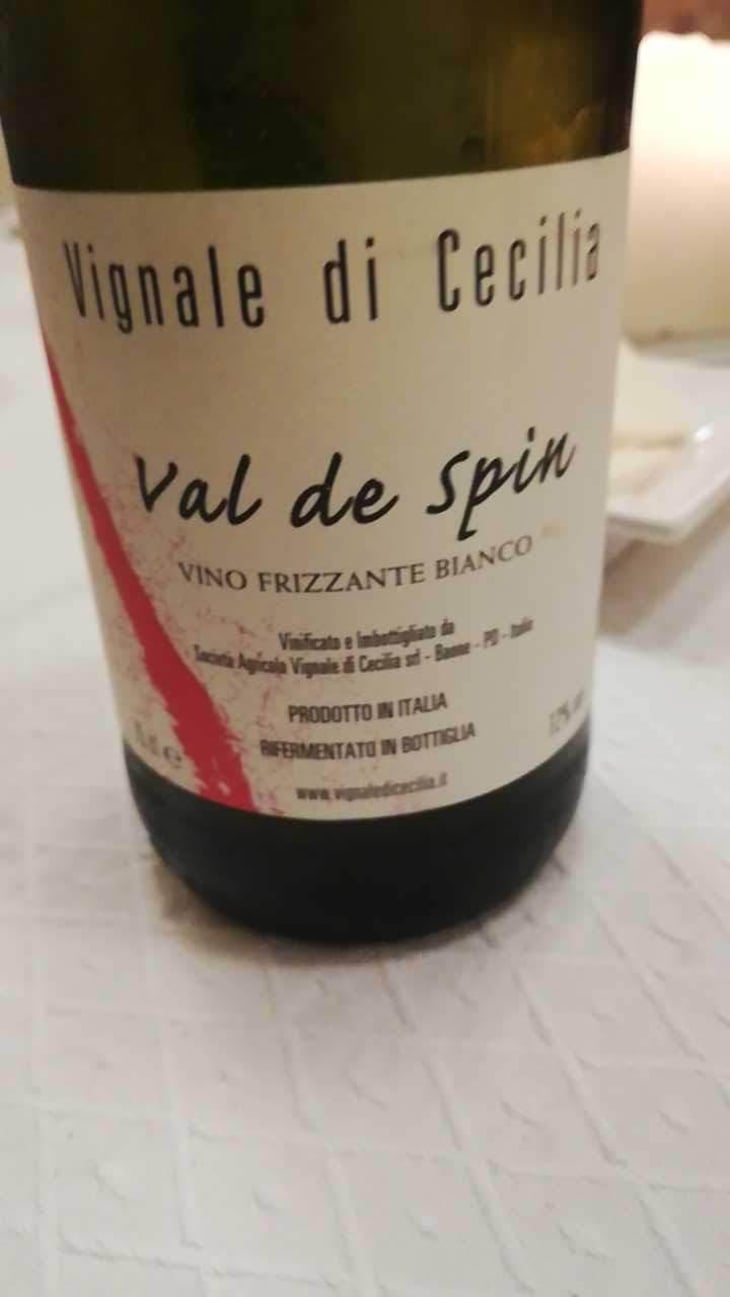 Val di Spin - Vignale di Cecilia - Paolo Brunello 