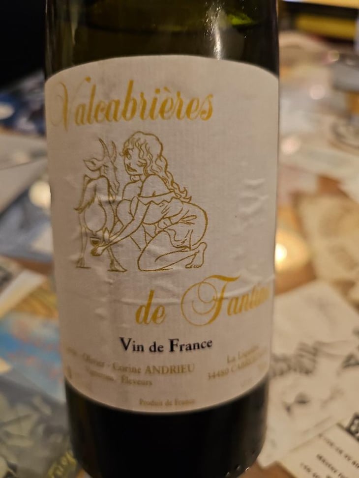 Valcabrières de Fantine - Clos Fantine - Carole, Olivier & Corine Andrieu 