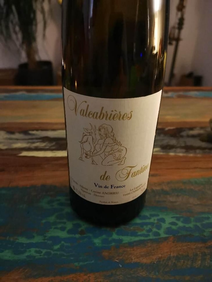 Valcabrières de Fantine - Clos Fantine - Carole, Olivier & Corine Andrieu 
