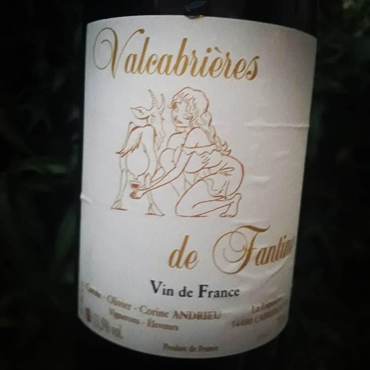 Valcabrières de Fantine - Clos Fantine - Carole, Olivier & Corine Andrieu 