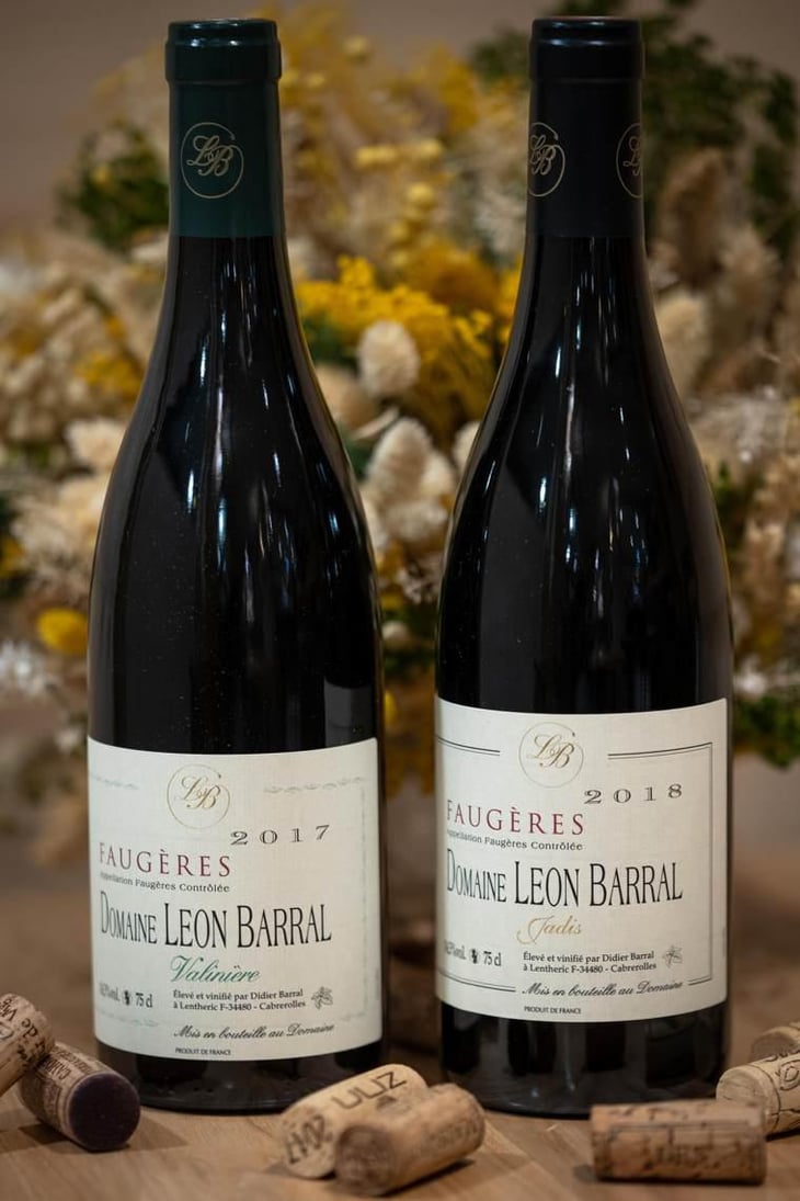 Valinière - Domaine Léon Barral - Didier Barral 