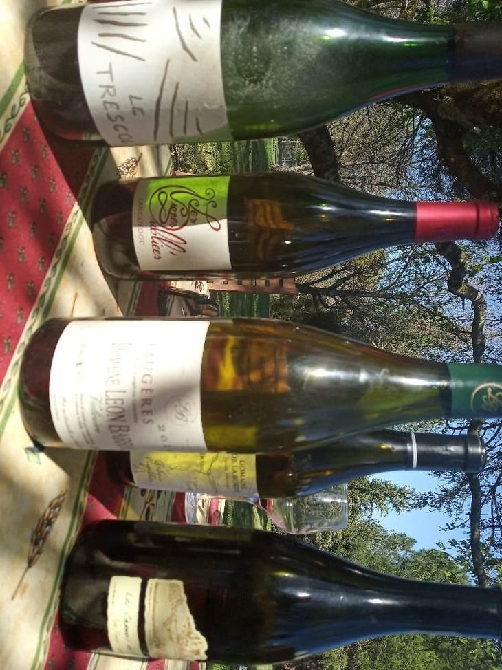 Valinière - Domaine Léon Barral - Didier Barral 