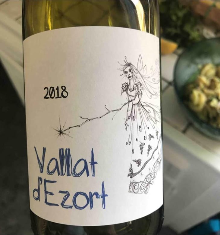 Jusqu’ici Tout Va Bien - Vallat d'Ezort - Manuela & Frédéric Martin -2020
