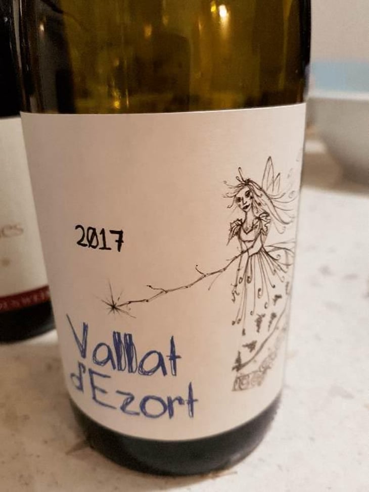 Jusqu’ici Tout Va Bien - Vallat d'Ezort - Manuela & Frédéric Martin -2020