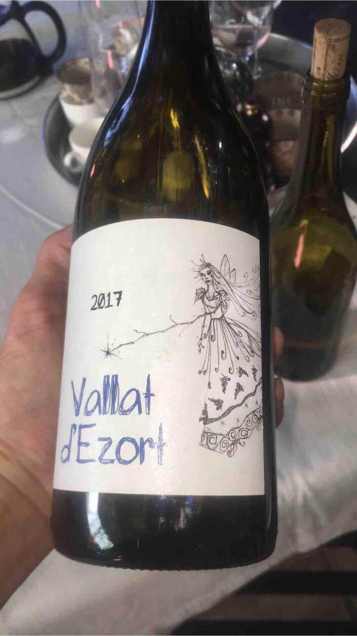 Jusqu’ici Tout Va Bien - Vallat d'Ezort - Manuela & Frédéric Martin -2020