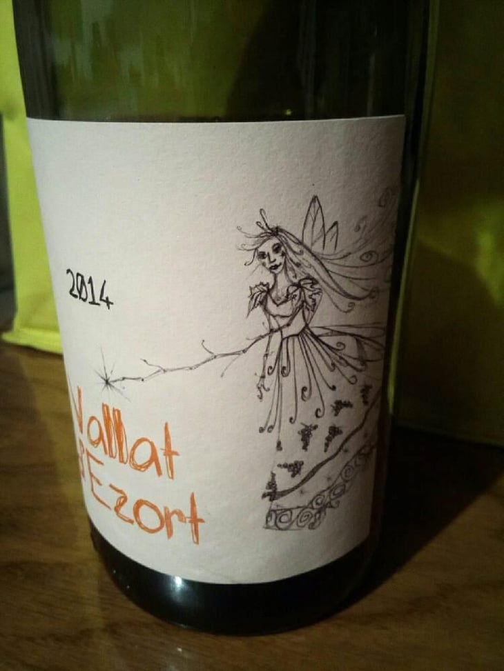 La Belle rouge - Vallat d'Ezort - Manuela & Frédéric Martin 
