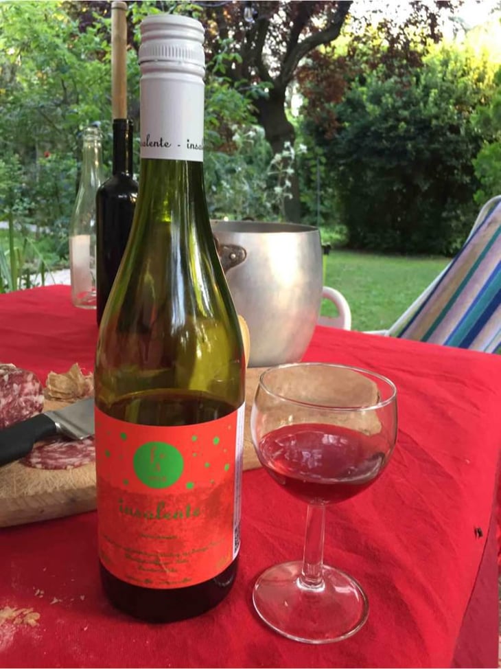 Vino Rosso - Insolente Vini - Luca Elettri 