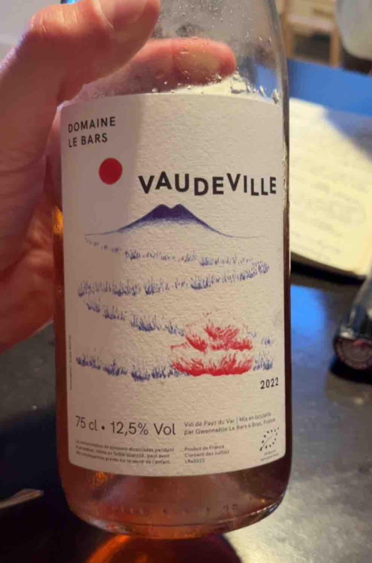 Vaudeville - Domaine Le Bars - Gwennaëlle Le Bars -2021