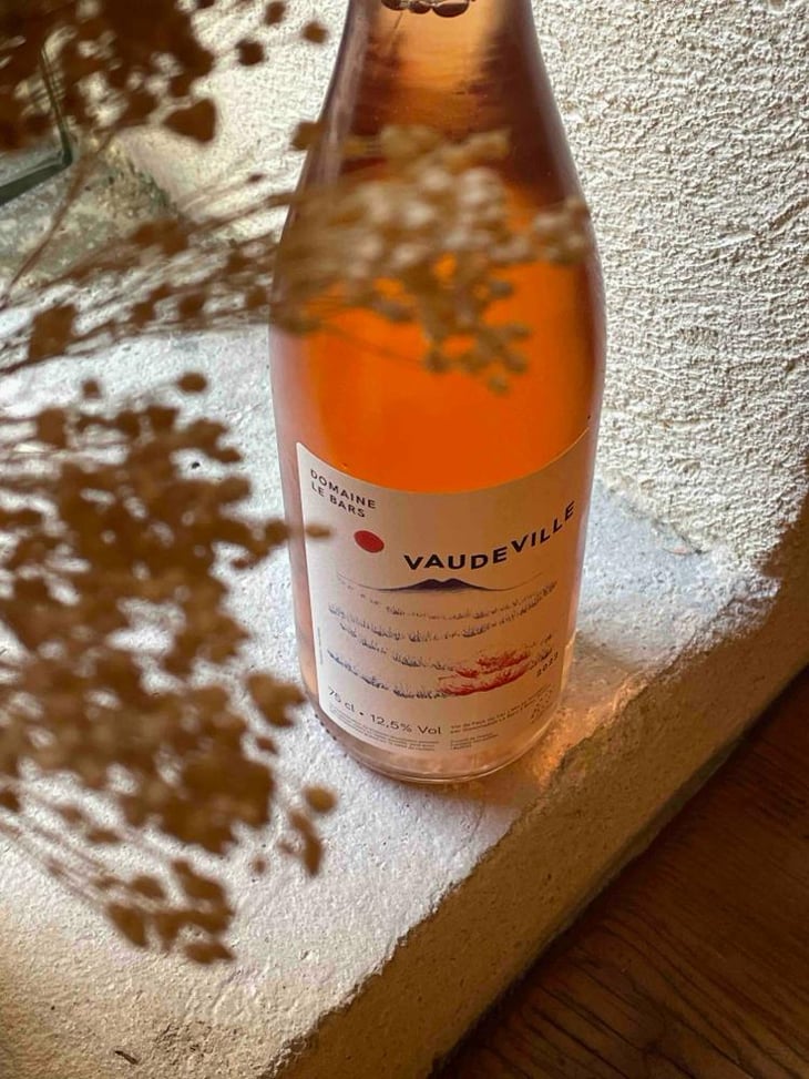 Vaudeville - Domaine Le Bars - Gwennaëlle Le Bars -2021
