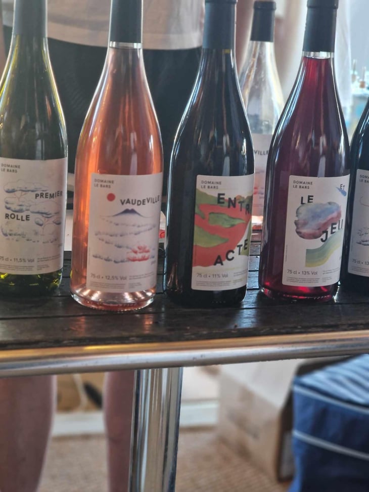 Vaudeville - Domaine Le Bars - Gwennaëlle Le Bars -2021