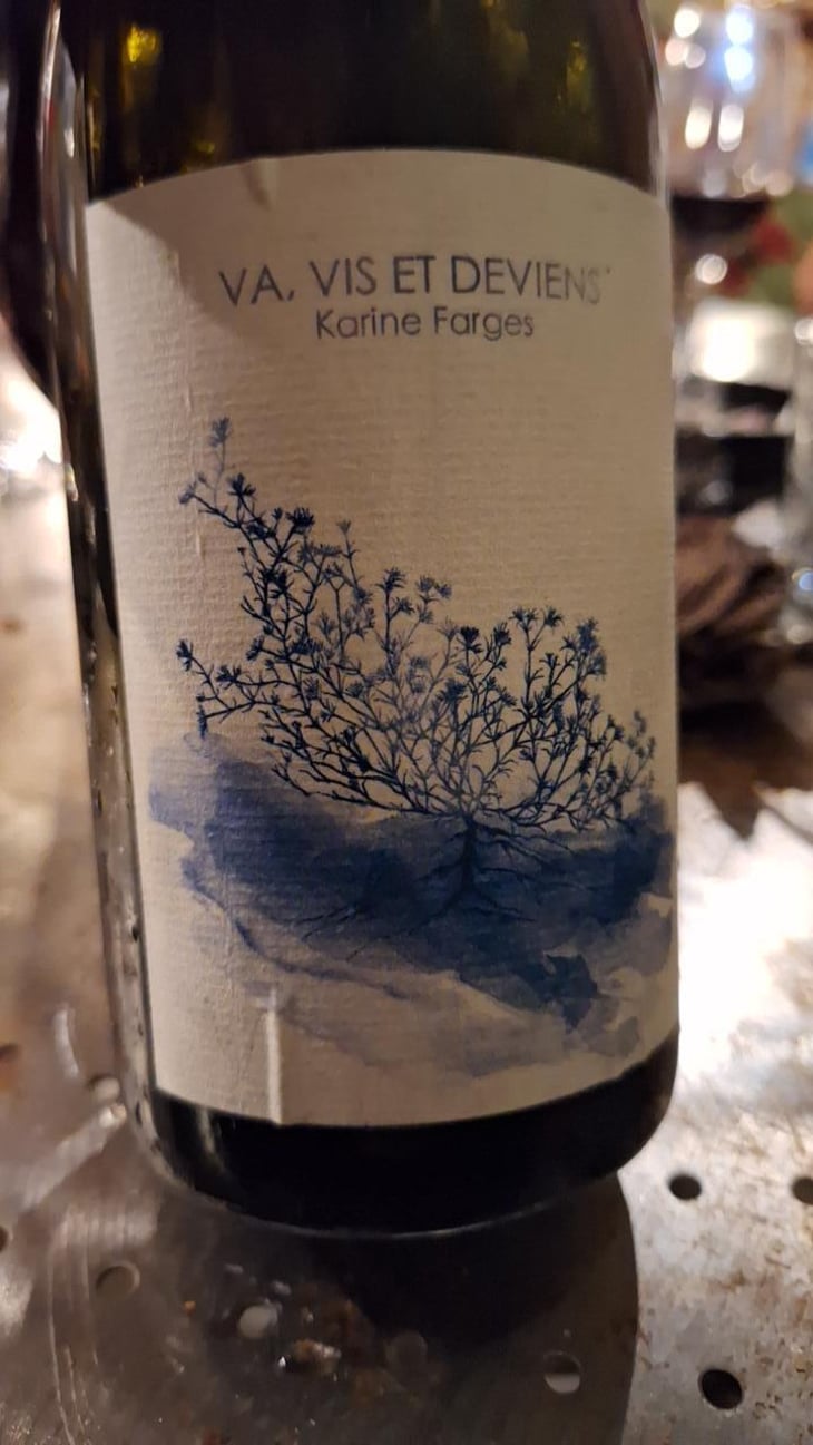 Va, Vis et Deviens - Chai Karine Farges - Karine Farges -2023
