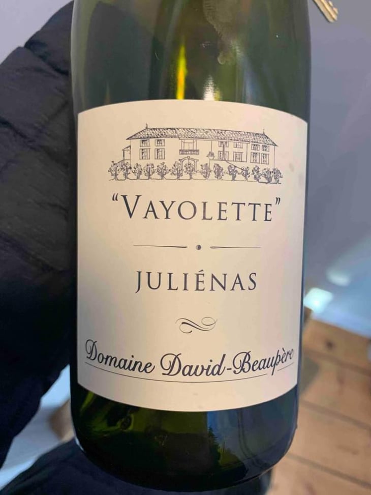 Vayolette - Domaine David-Beaupère - Louis-Clément David-Beaupère 