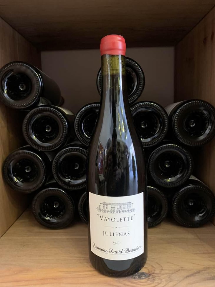 Vayolette - Domaine David-Beaupère - Louis-Clément David-Beaupère 