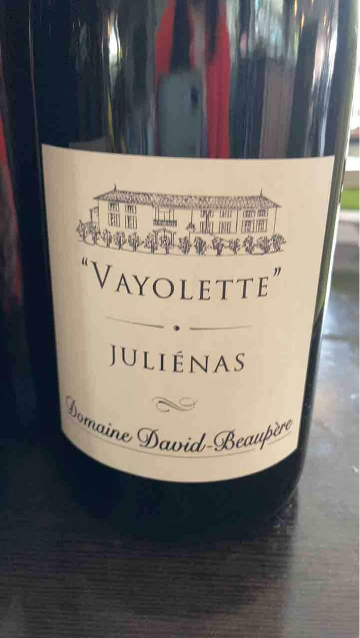 Vayolette - Domaine David-Beaupère - Louis-Clément David-Beaupère 