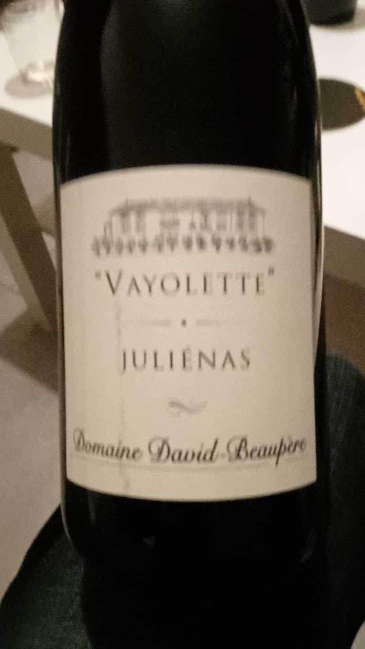 Vayolette - Domaine David-Beaupère - Louis-Clément David-Beaupère 