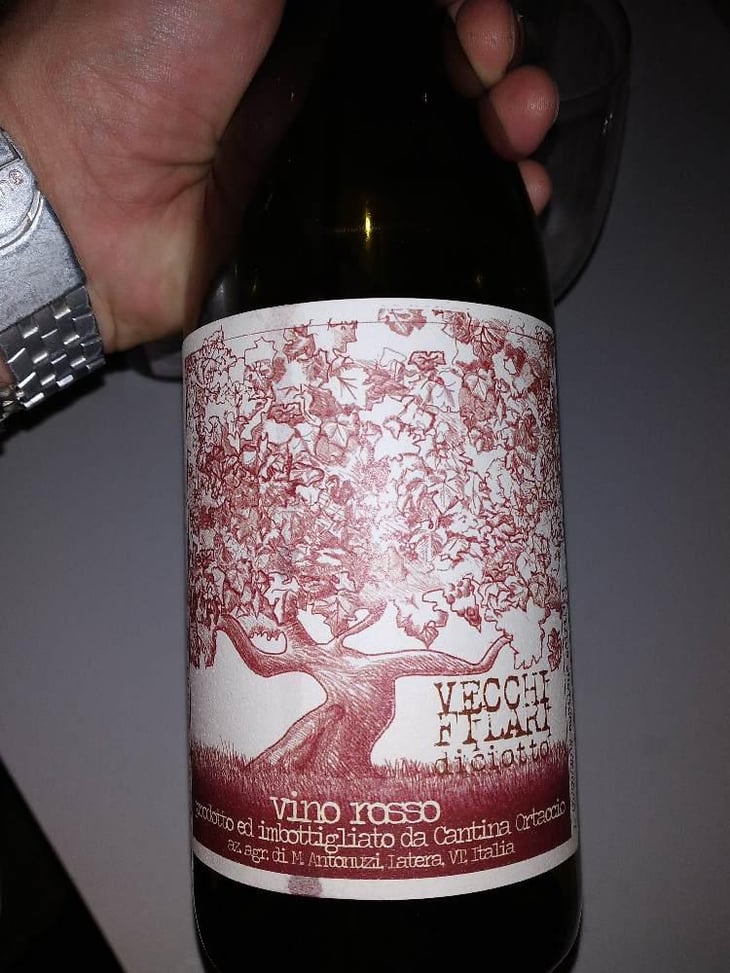 Vecchi Filari - Cantina Ortaccio - Massimo Antonuzi & Patrizia Montanari 