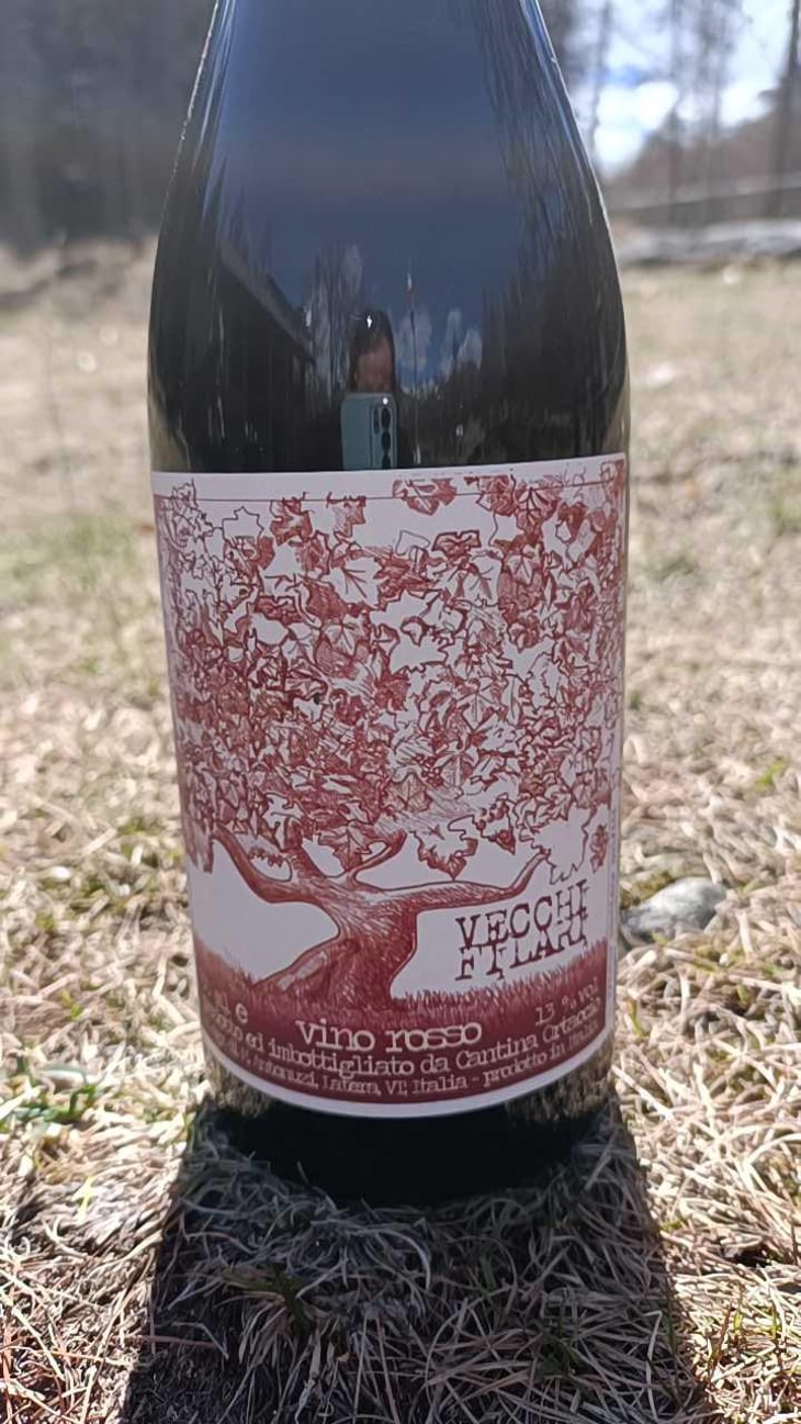 Vecchi Filari - Cantina Ortaccio - Massimo Antonuzi & Patrizia Montanari 