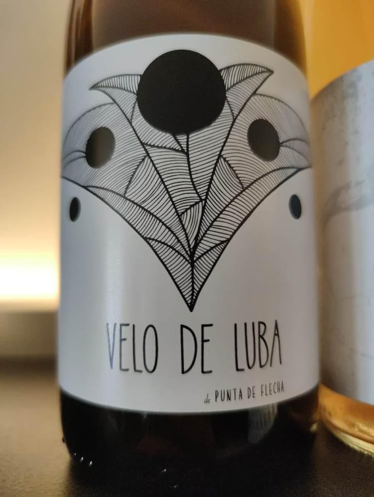 Velo de Luba - Bodega Punta De Flecha - Alejandro López Martín -2020