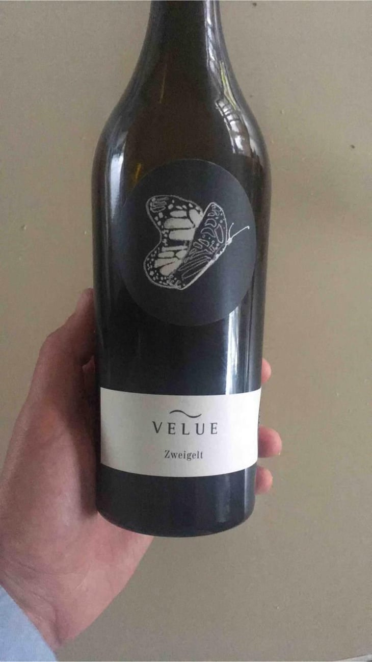 Velue Grüner Veltliner - Bioweingut Johannes Zillinger - Johannes Zillinger 