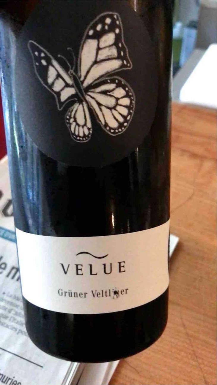 Velue Grüner Veltliner - Bioweingut Johannes Zillinger - Johannes Zillinger 