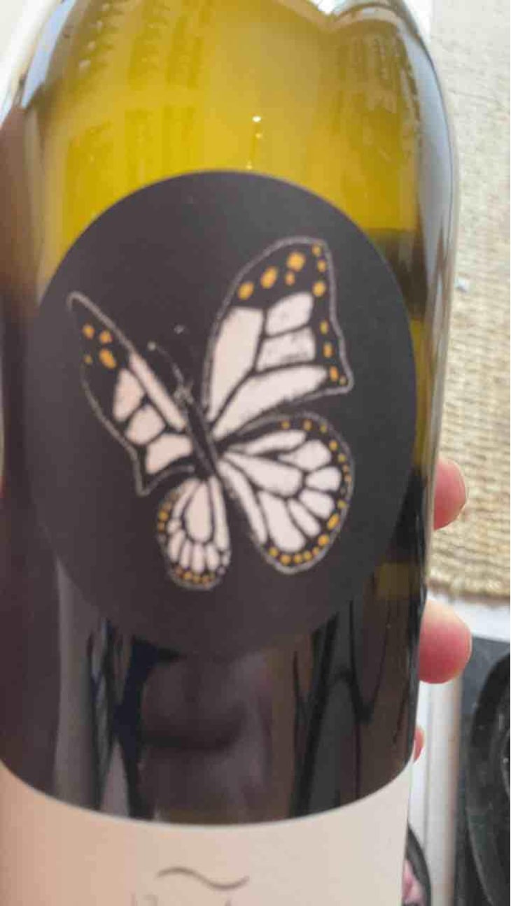 Velue Grüner Veltliner - Bioweingut Johannes Zillinger - Johannes Zillinger 