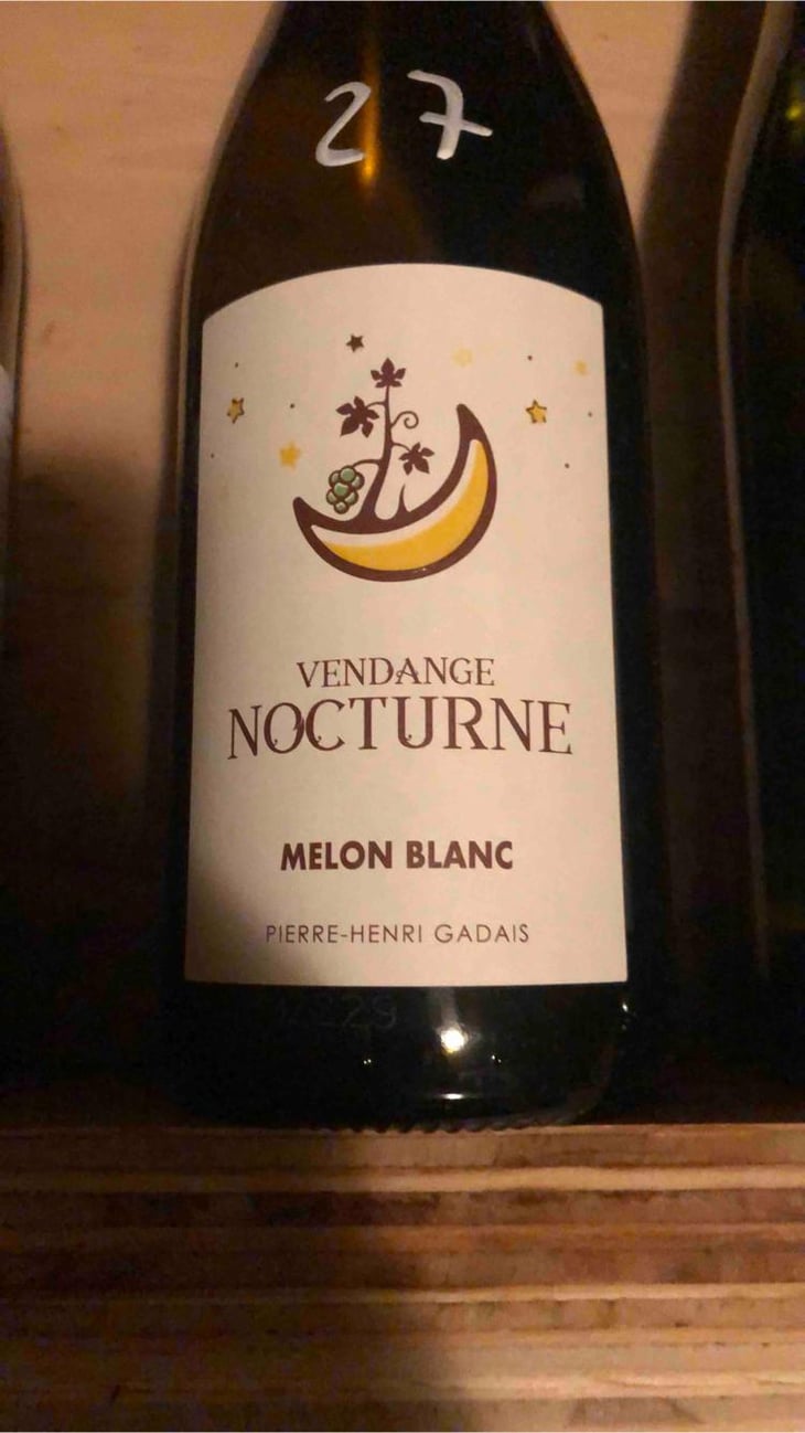 Vendange nocturne - Domaine de la combe - Pierre Henri Gardais -2022