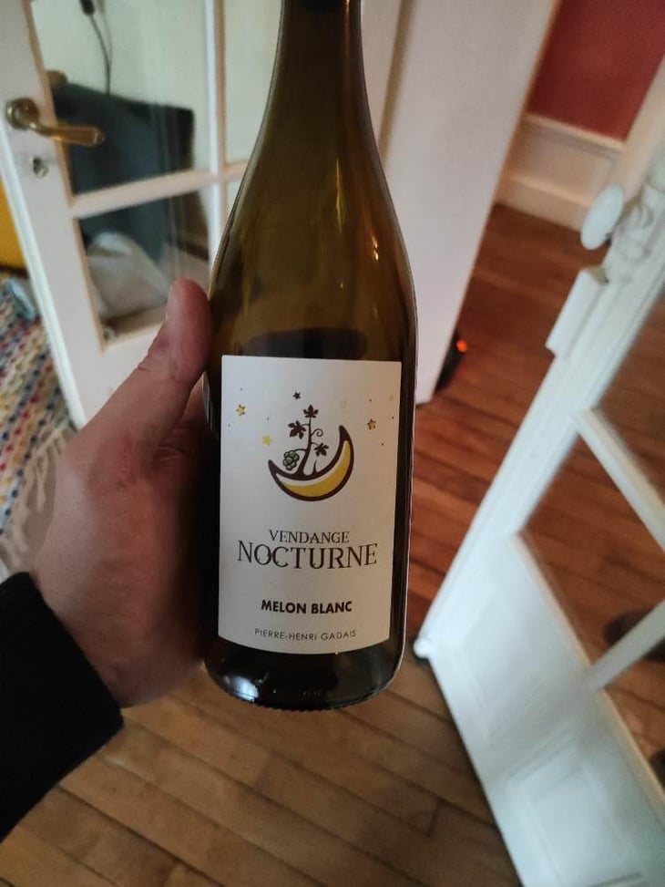 Vendange nocturne - Domaine de la combe - Pierre Henri Gardais -2022