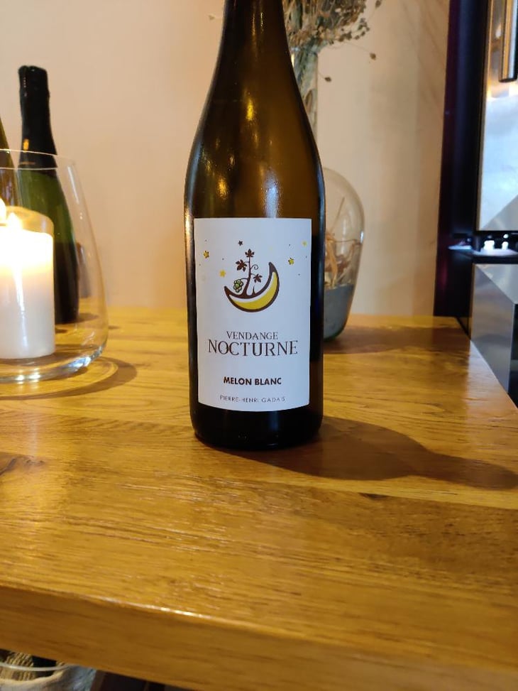 Vendange nocturne - Domaine de la combe - Pierre Henri Gardais -2022