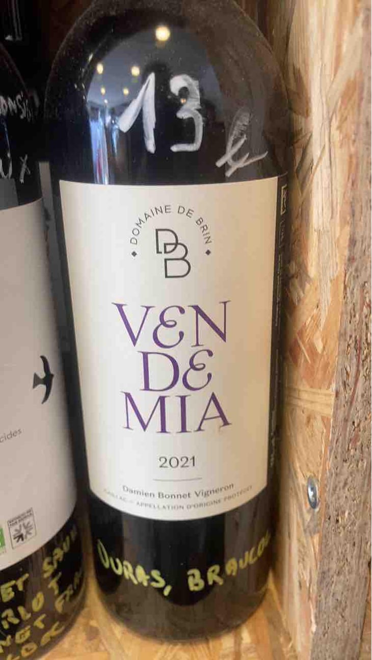 Vendemia - Domaine de Brin - Damien Bonnet 