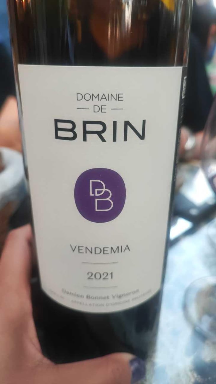 Vendemia - Domaine de Brin - Damien Bonnet 