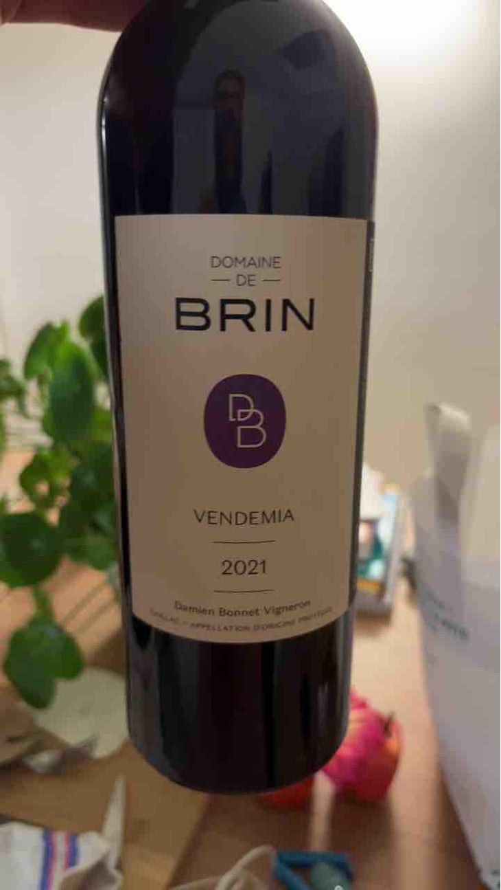 Vendemia - Domaine de Brin - Damien Bonnet 