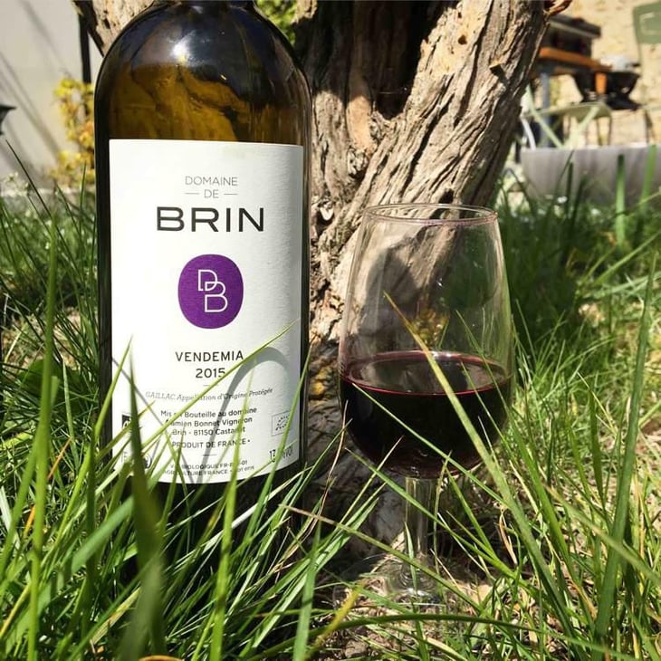 Vendemia - Domaine de Brin - Damien Bonnet 