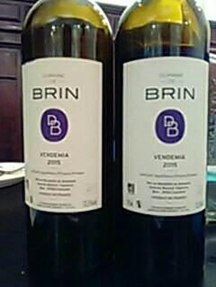 Vendemia - Domaine de Brin - Damien Bonnet 