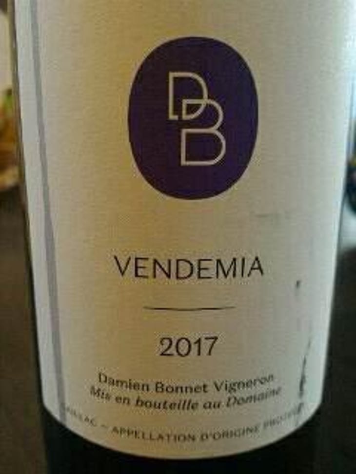 Vendemia - Domaine de Brin - Damien Bonnet 