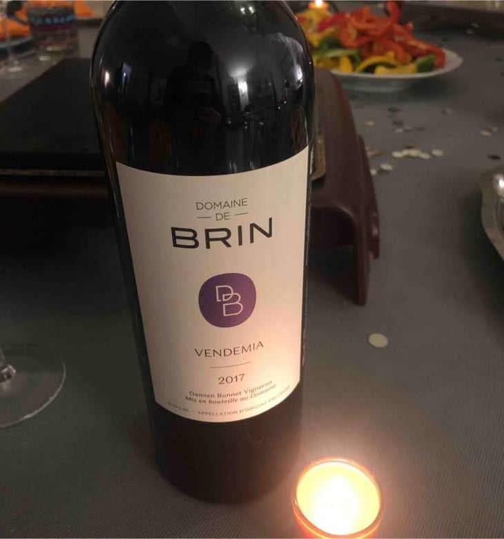 Vendemia - Domaine de Brin - Damien Bonnet 