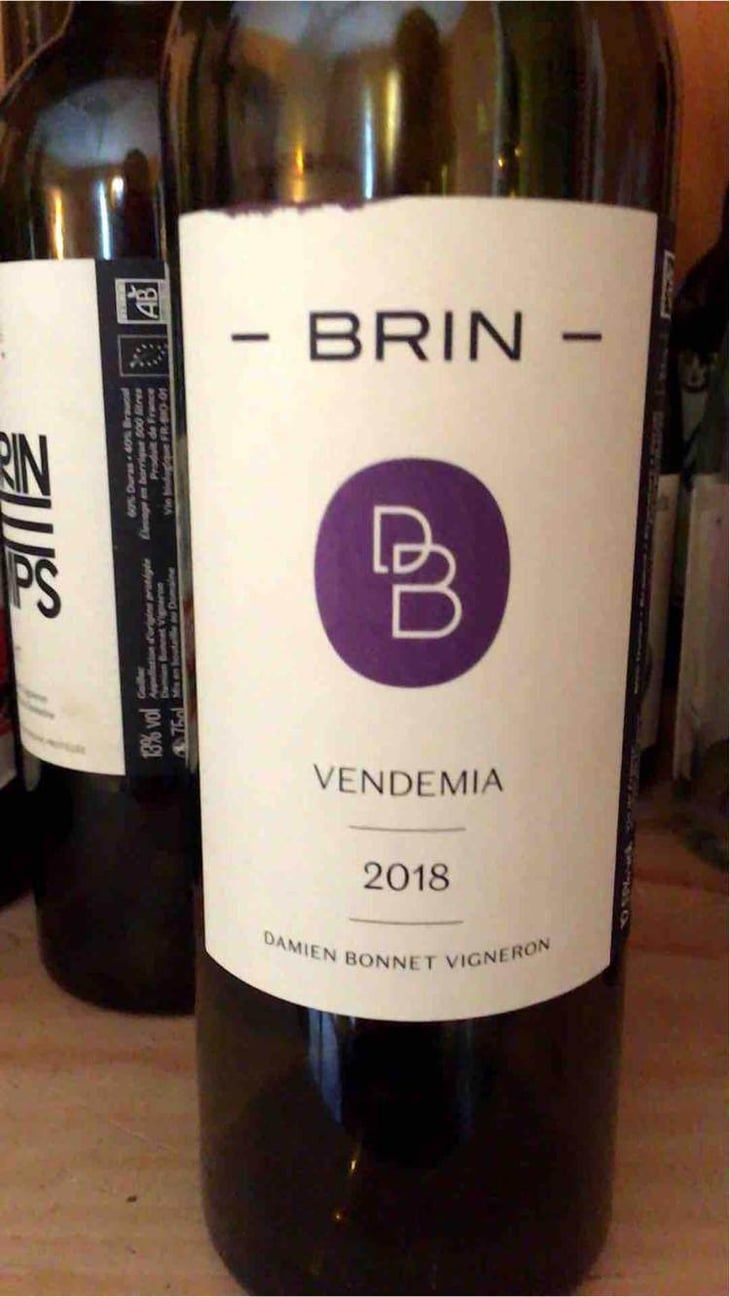 Vendemia - Domaine de Brin - Damien Bonnet 