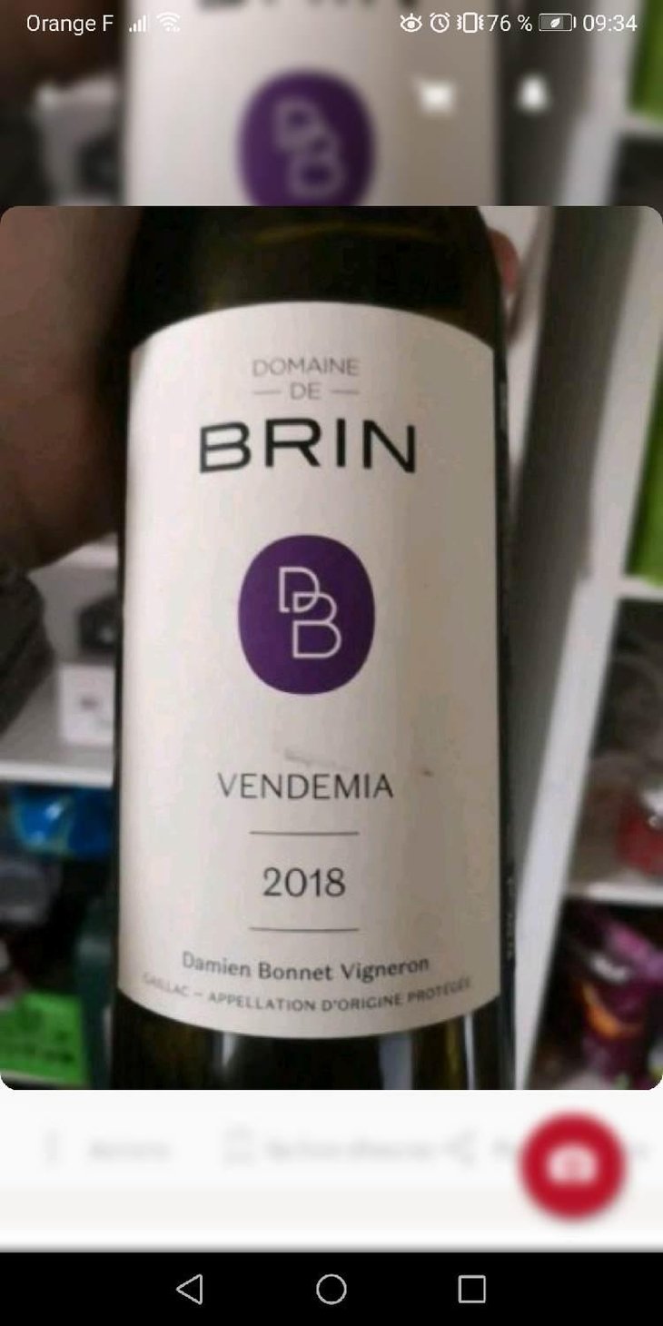 Vendemia - Domaine de Brin - Damien Bonnet 