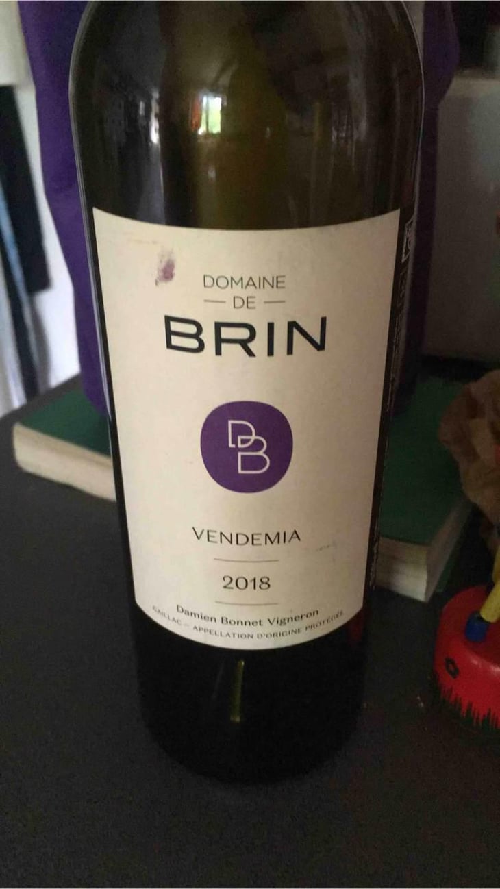 Vendemia - Domaine de Brin - Damien Bonnet 