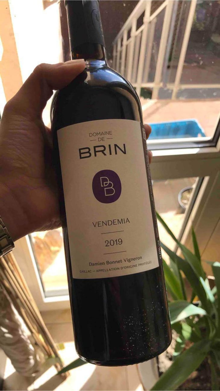Vendemia - Domaine de Brin - Damien Bonnet 