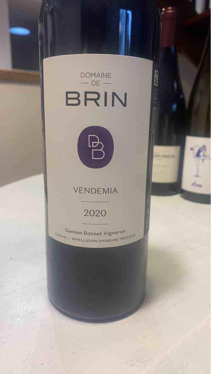 Vendemia - Domaine de Brin - Damien Bonnet 