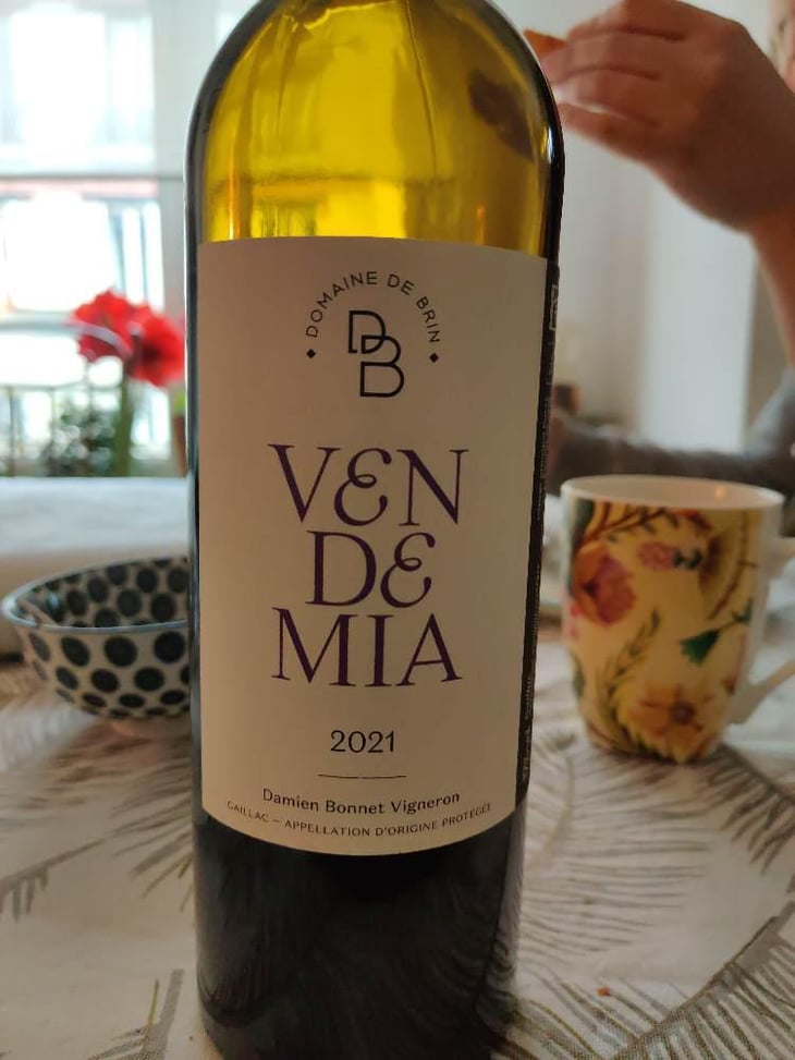 Vendemia - Domaine de Brin - Damien Bonnet 