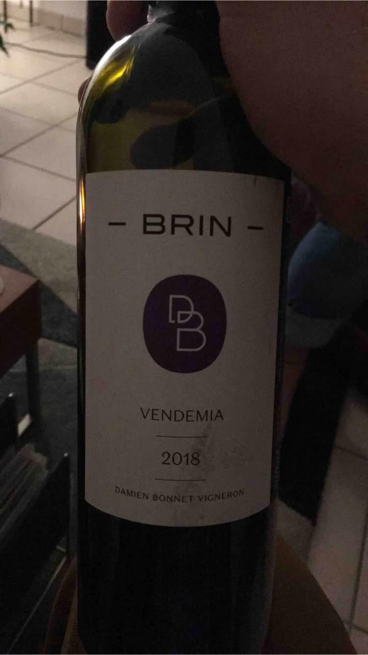 Vendemia - Domaine de Brin - Damien Bonnet 