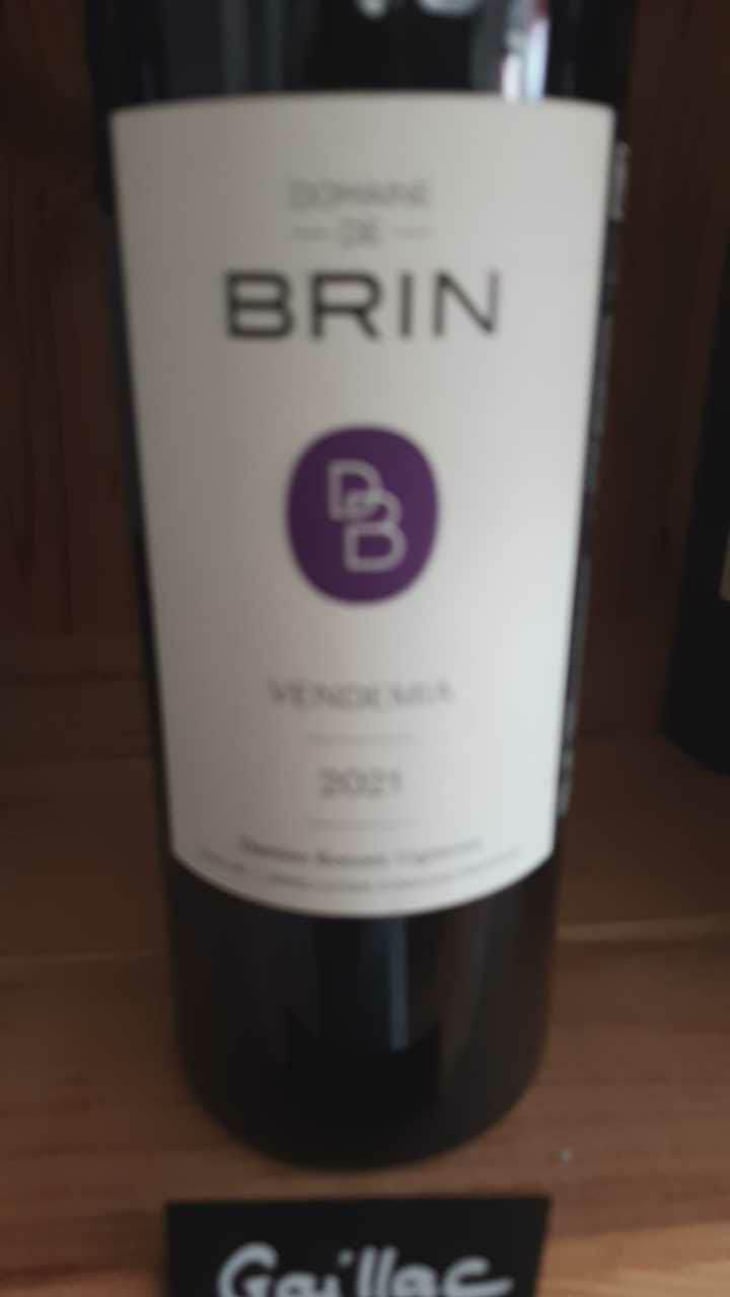 Vendemia - Domaine de Brin - Damien Bonnet 