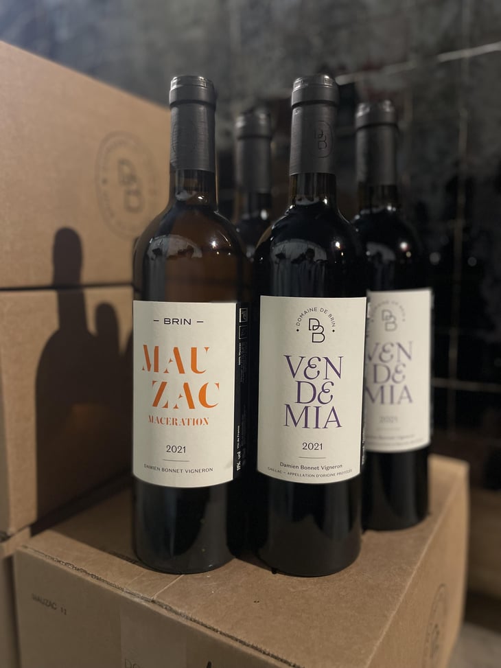 Vendemia - Domaine de Brin - Damien Bonnet 