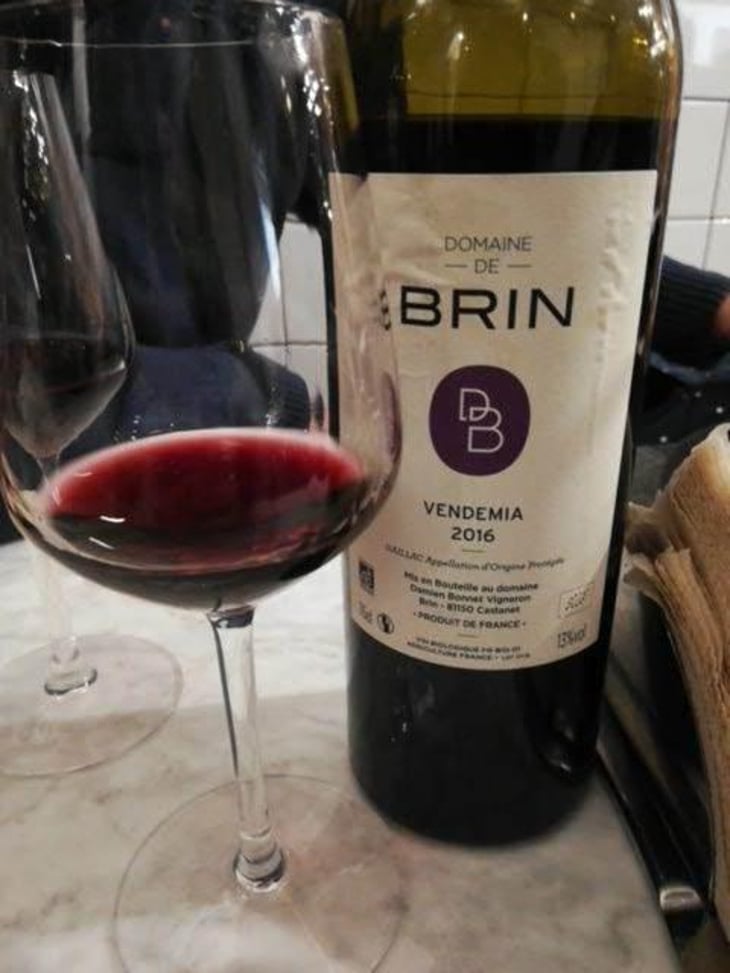 Vendemia - Domaine de Brin - Damien Bonnet 