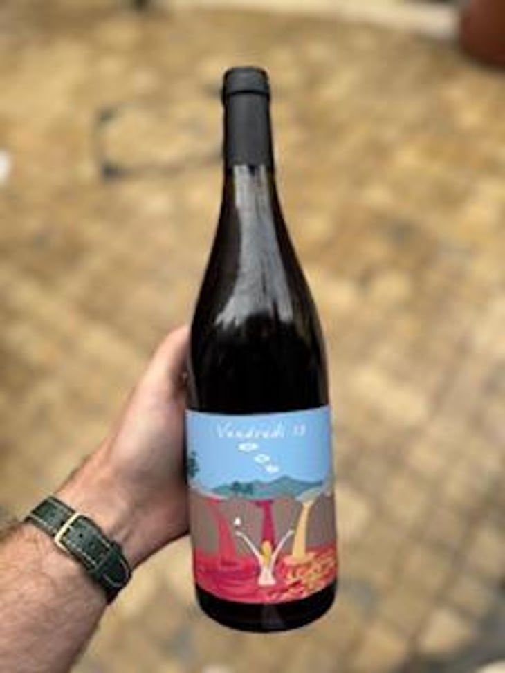 Vendredi 13 - Vino di Anna - Anna Martens & Eric Narioo -2021